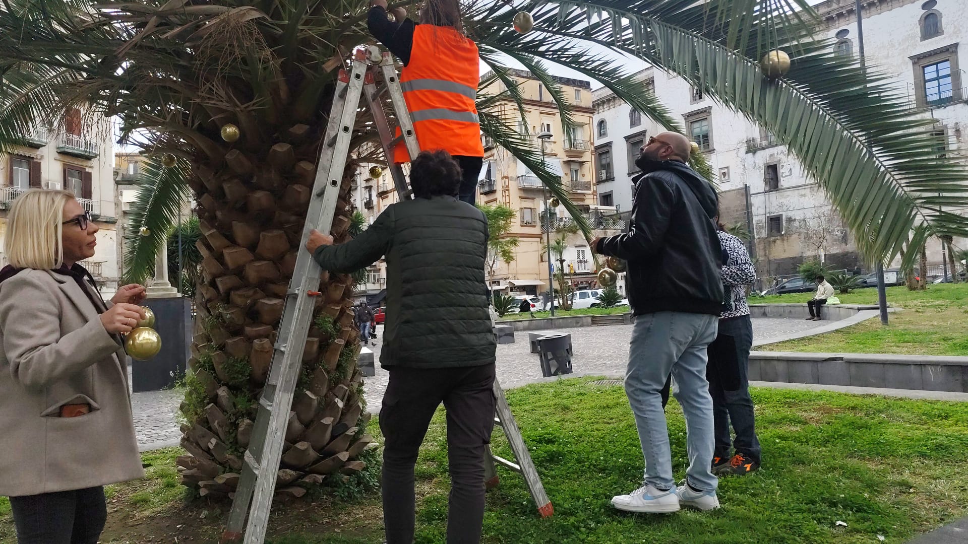 WhatsApp Image 2025 11 20 at 11.22.52